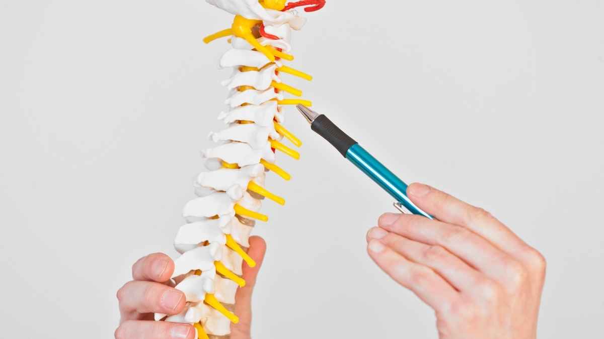 Deformaciones en la Columna Cervical y la Cintura Escapular: 